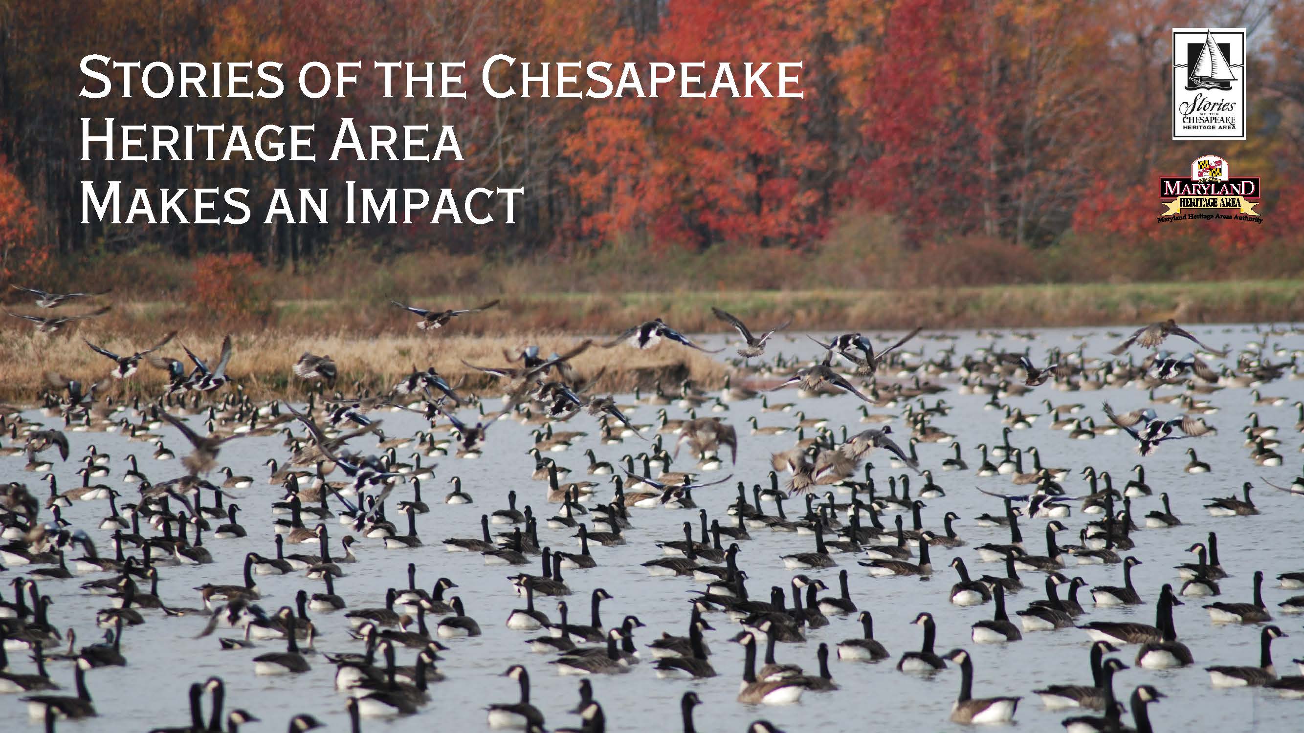 Local Report, Stories of the Chesapeake Heritage Area