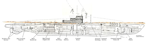 Cross-section                   of U-1105 by James Christy