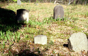 View of the Hopkins Cemetery – Anne Arundel County